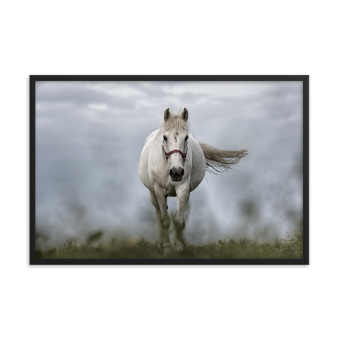 Tableau Déco Cheval Blanc au Galop