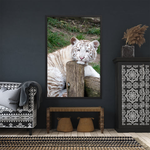 Tableau Bebe Tigre Blanc Lofty Trend