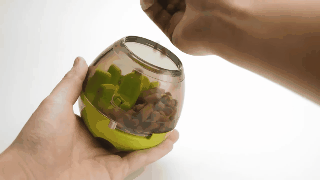 Pet Interactive Food Dispenser Toy