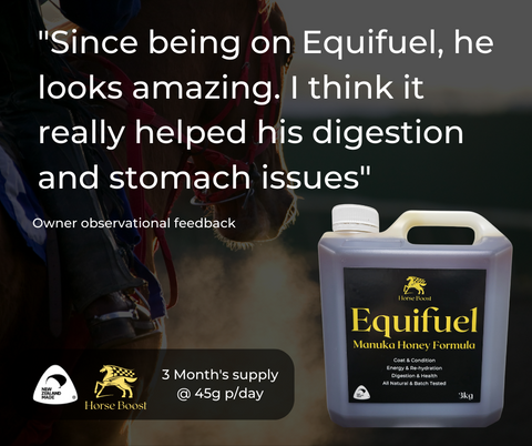 Equifuel 3kg Health & Performance