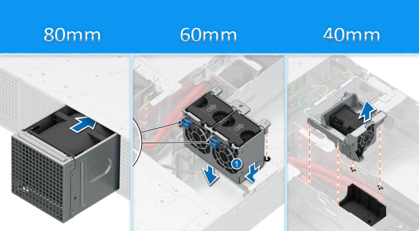 Image of the Different Fan Sizes