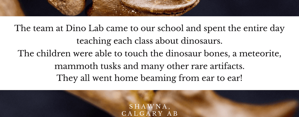 Dino Lab Inc offers school presentations where kids get to touch dinosaur bones. Our teachers and students love it when we visit. Here's a testimonial.