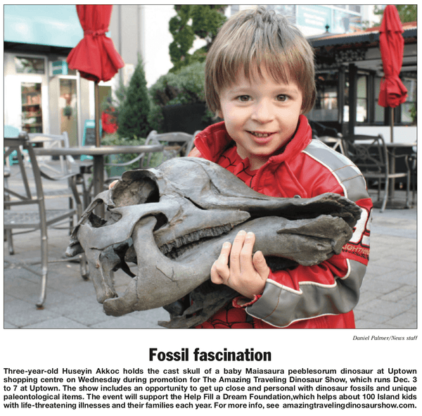 Saanich News article. A three-year-old holds the cast skull of a baby Maiasaura peeblesorum dinosaur