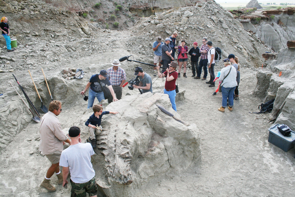 Craving adventure? Put on your traveler's hat, grab a tool, and dig for fossils like an amateur paleontologist; Complete triceratops, articulated triceratops, quarry dig, Montana, Berlin Natural History Museum staff, Niels Nielsen, film crew, documentary, Dr.Heinrich Mallison, paleontologist