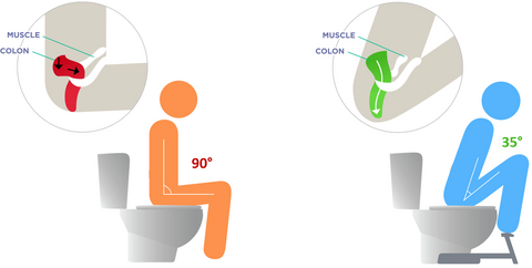 Pourquoi le tabouret de toilette permet d'adopter la position naturelle sur  la cuvette ? – La Boutique des WC