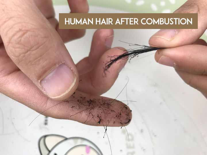 Combustion test of human hair