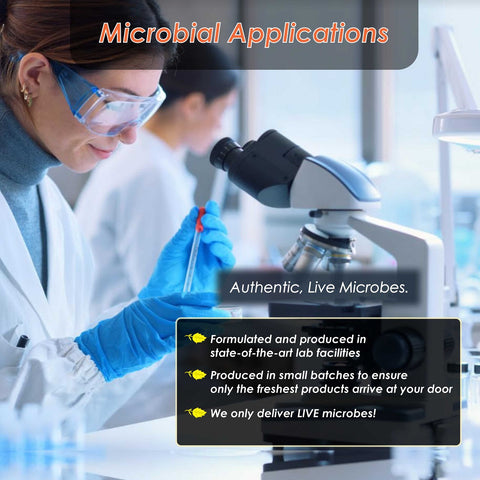 microbial applications