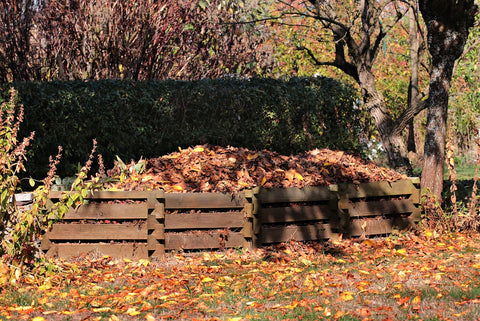 composting leaves