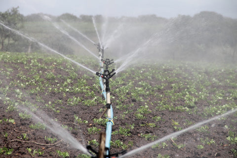 irrigation