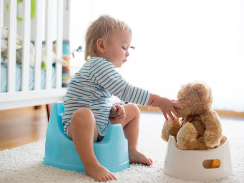 potty training for toddlers