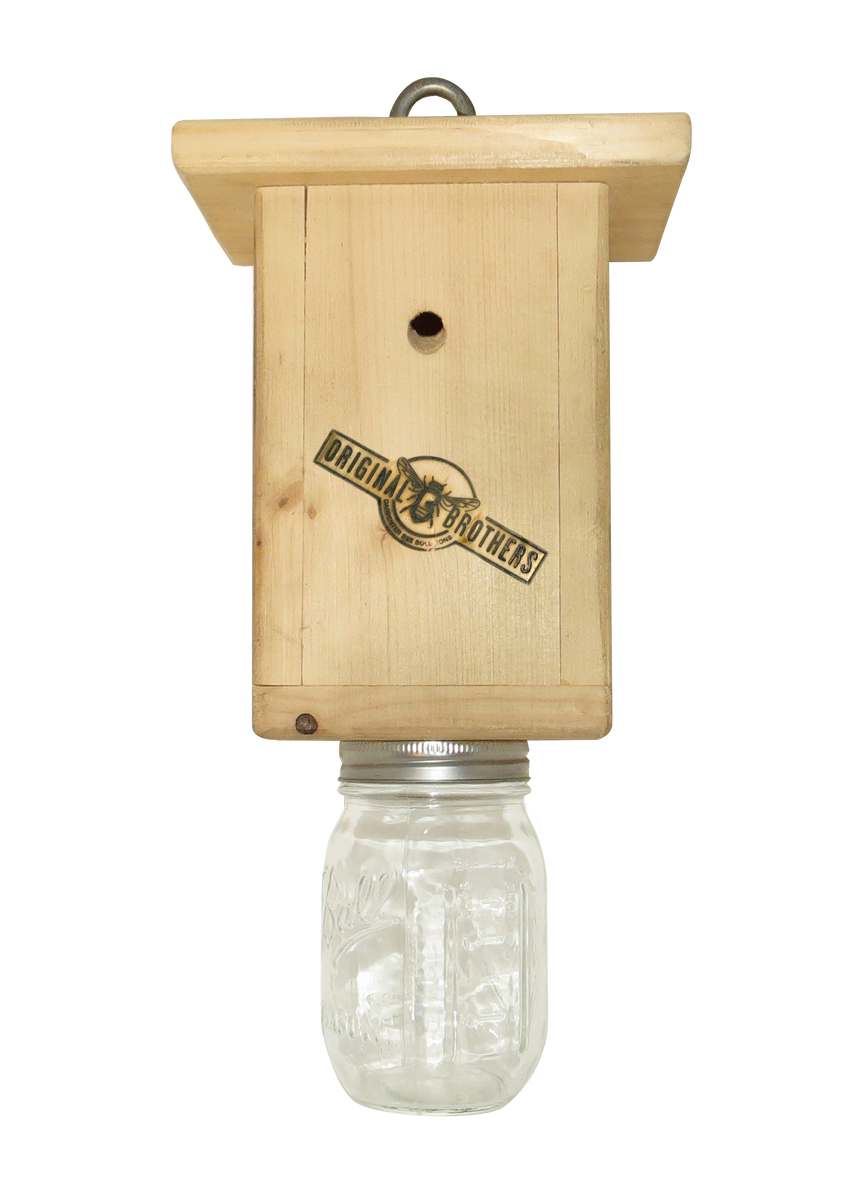 best bee brothers carpenter bee trap