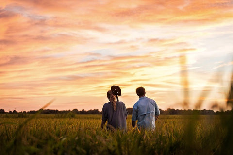 two brooks farm sunset