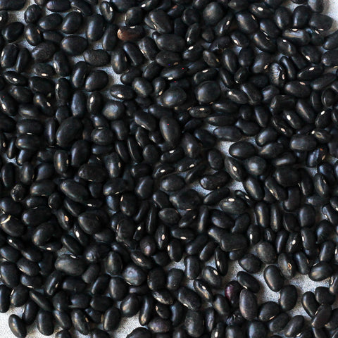 heirloom oaxacan black beans 