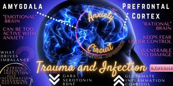 trauma and cortisol