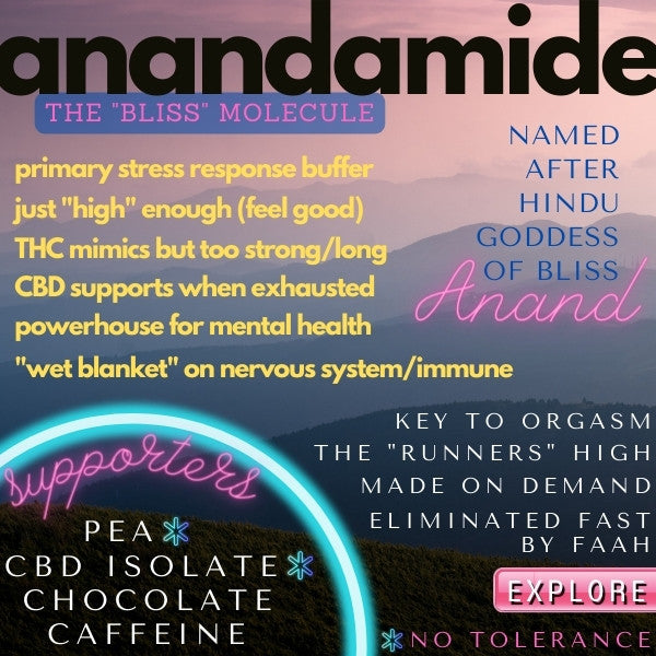 anandamide and cortisol