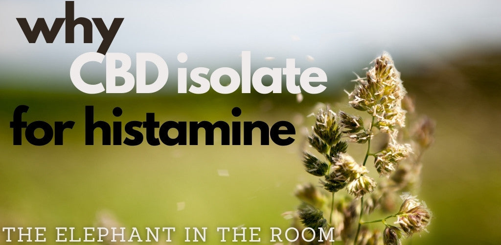 cbd isolate for allergies and histamine