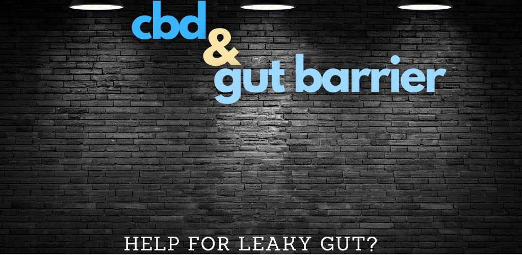 can cbd help with leaky gut