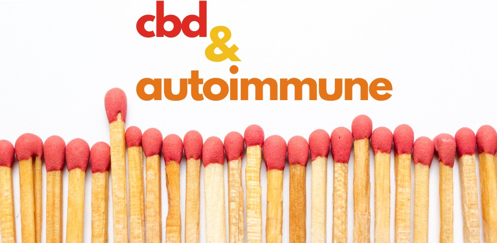 can cbd help with autoimmune