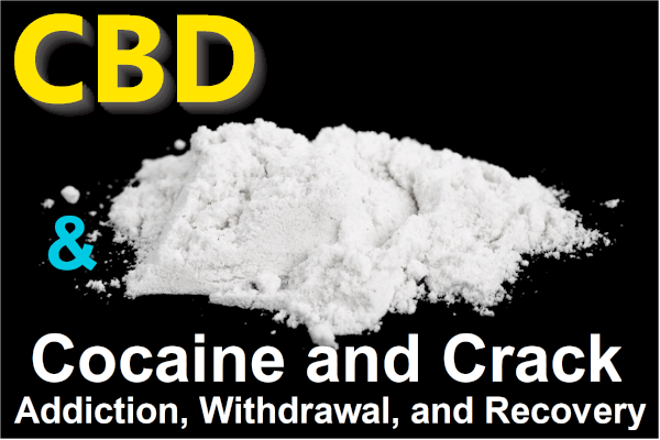 CBD and cocaine or crack addiction withdrawals and recovery