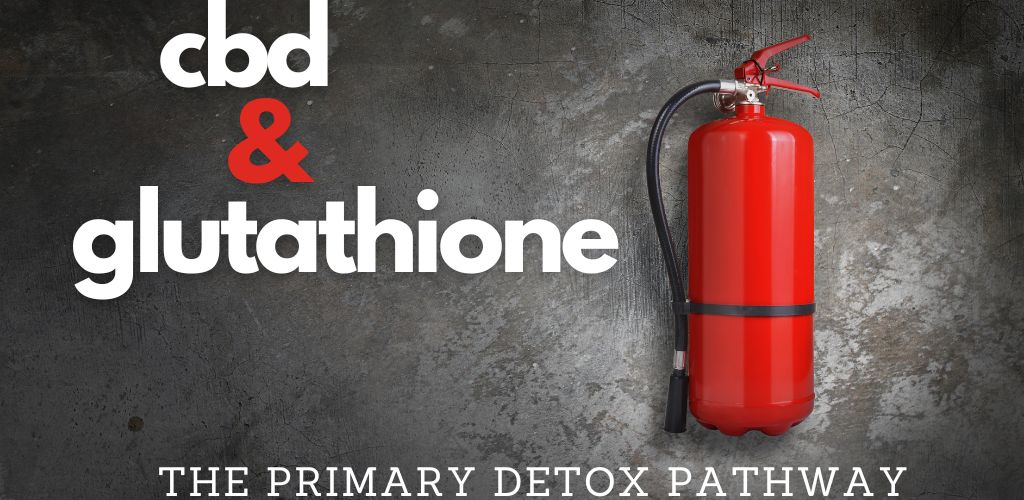 cbd and glutathione detox