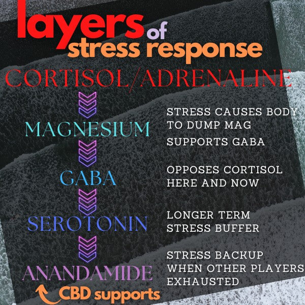 cbd and layers of stress