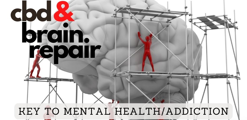 cbd brain repair mental health addiction