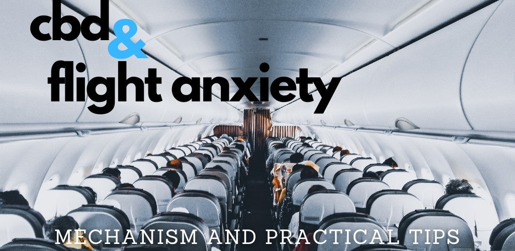 cbd and flight anxiety guide