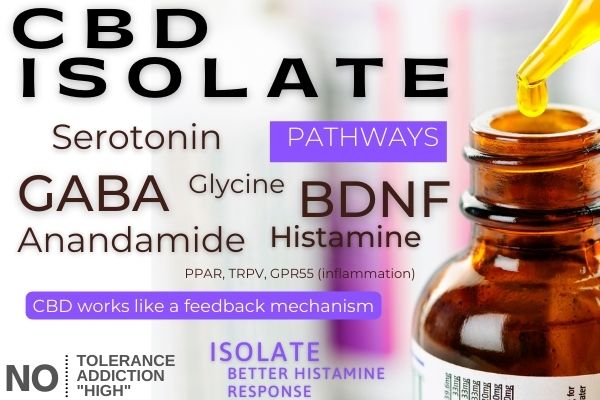 CBD isolate for mast cells