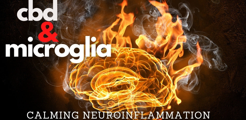 cbd microglia neuroinflammation and anxiety