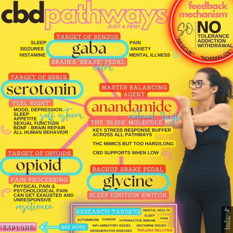 what pathways does cbd affect