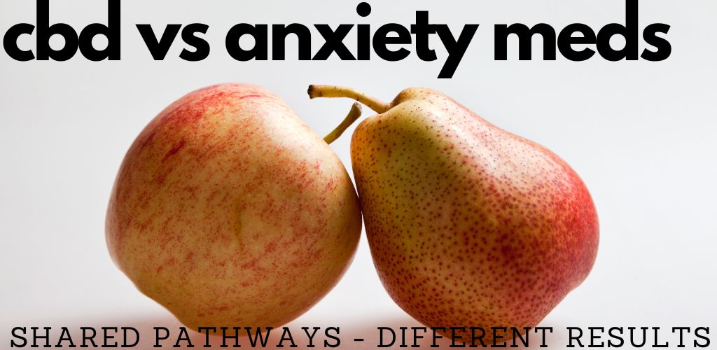 cbd versus anxiety medications