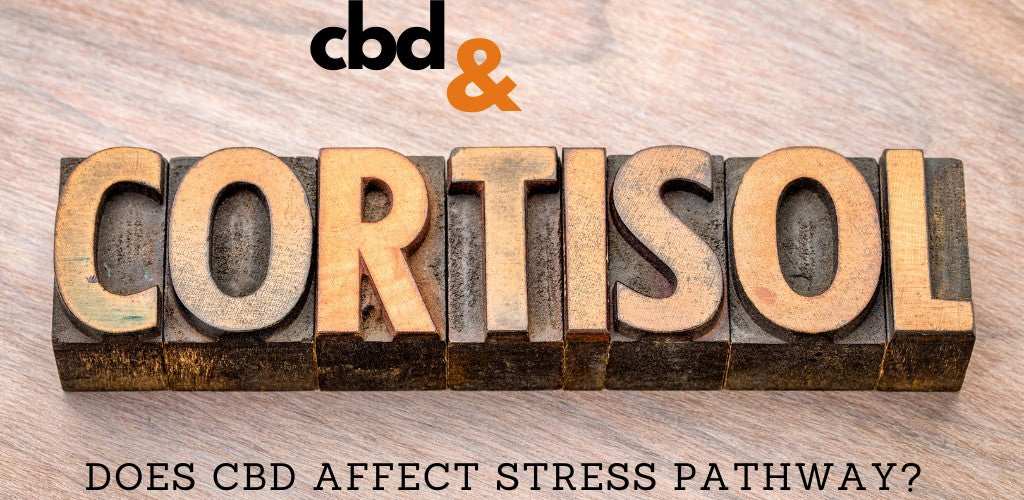 does cbd reduce cortisol for stress