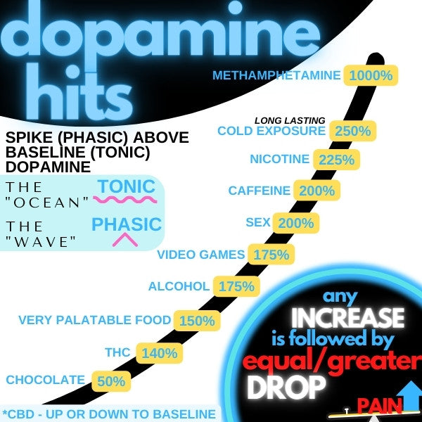 cold exposure and dopamine spike