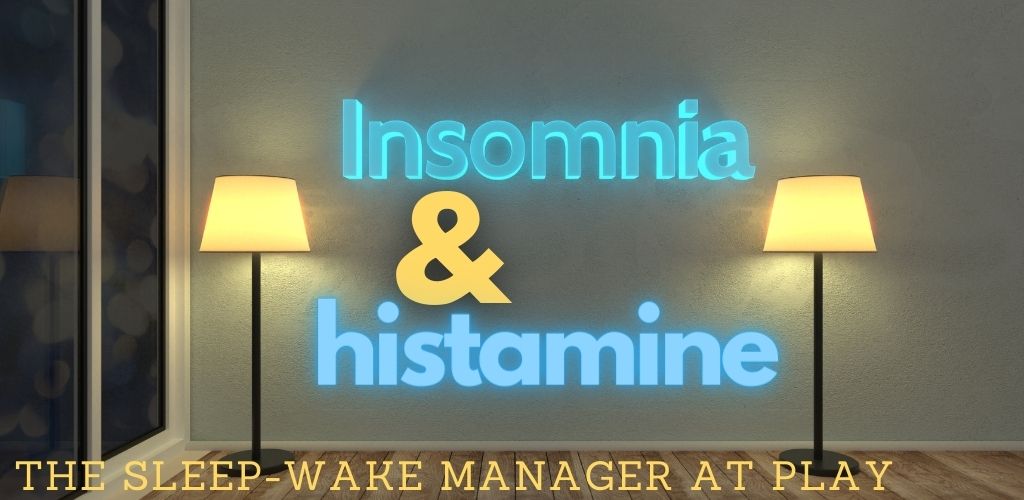 histamine and insomnia