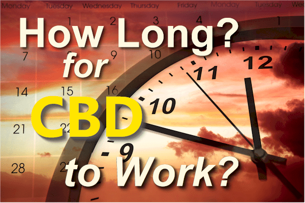 How long does it take for CBD to work both short term and long term