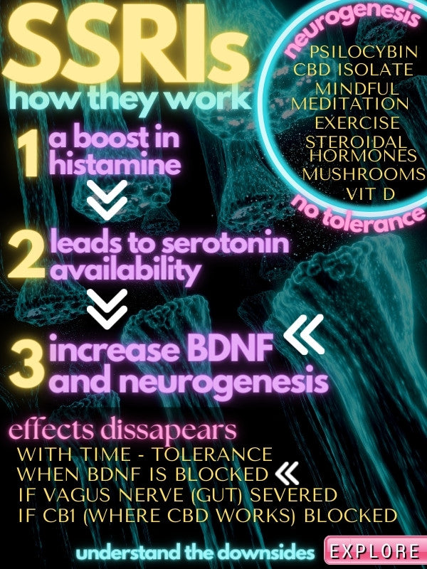 how ssris work like effexor