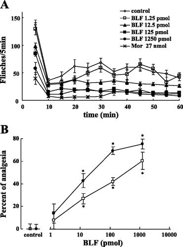 lactoferrin and pain