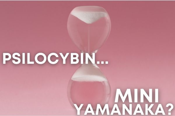 is psilocybin mini yamanaka reset