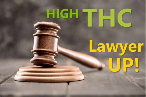 legal liability for high thc sellers and market