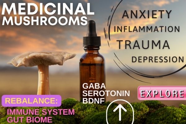 can medicinal mushrooms help with anxiety