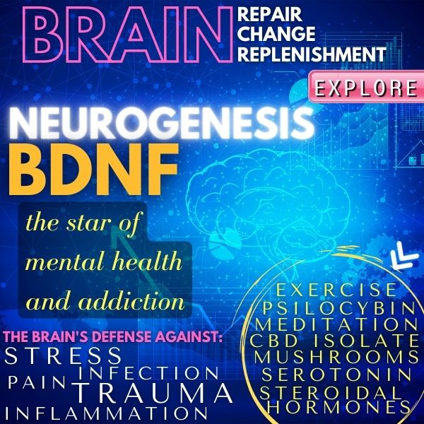 can bdnf help with panic attacks