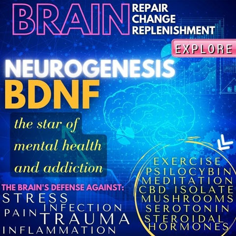 review on neurogenesis and BDNF 