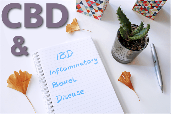 CBD research and IBD IBS and Gut inflammation