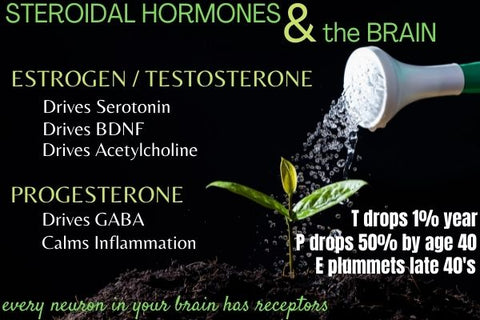 testosterone estrogen progesterone and anxiety
