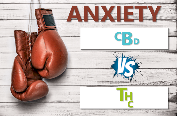 THC or weed versus CBD for anxiety