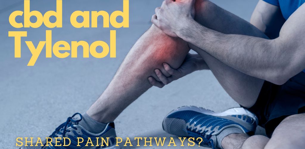 tylenol versus cbd for pain