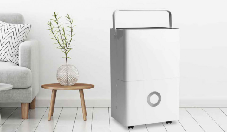 Lifestyle image of the Devola 20L compressor dehumidifier in a living room. It is a modern style living room with a wooden side table with lavendar in a round vase. 