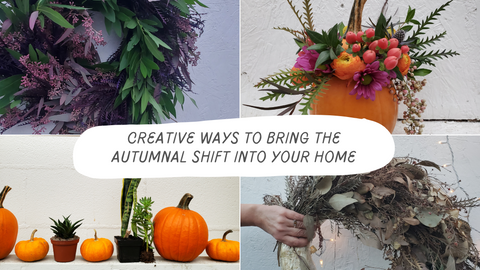 Creative Ways to Bring the Autumnal Shift into Your Home