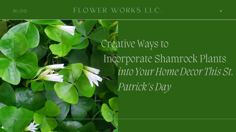 Creative Ways to Incorporate Shamrock Plants into Your Home Decor This St. Patrick's Day