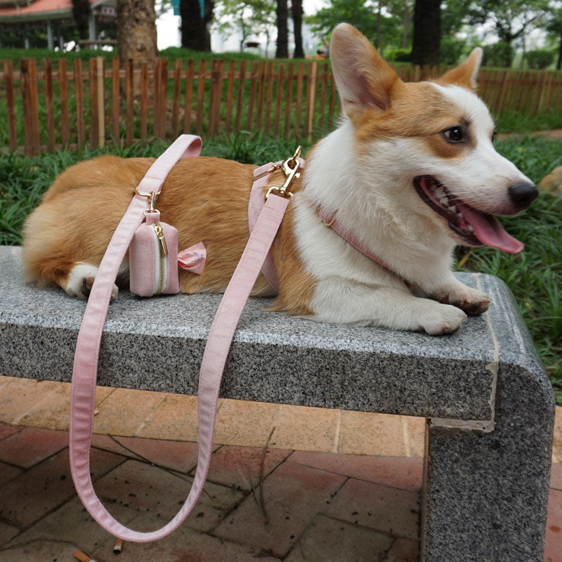 petduro dog harness set